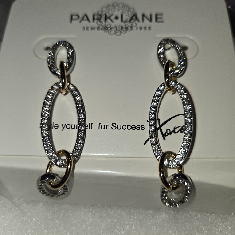 Park Lane Gold and Silver Oval Link Earrings